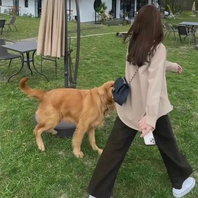 深宫春梦